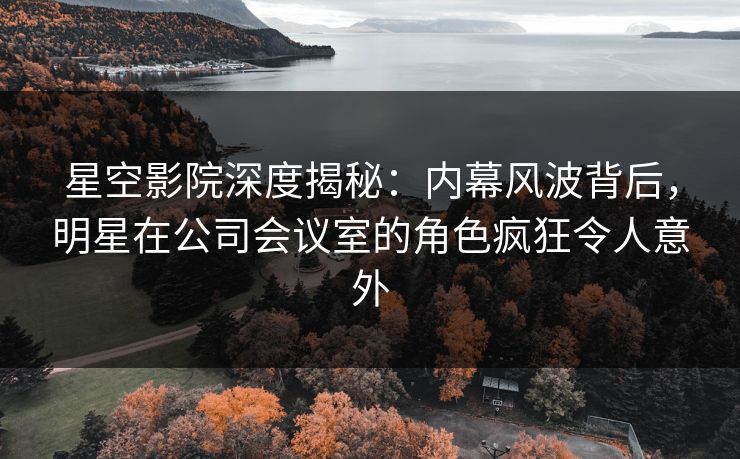 星空影院深度揭秘：内幕风波背后，明星在公司会议室的角色疯狂令人意外