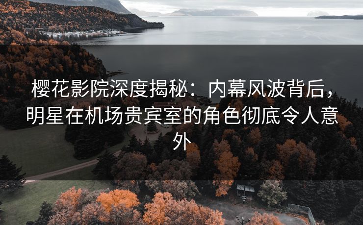 樱花影院深度揭秘：内幕风波背后，明星在机场贵宾室的角色彻底令人意外
